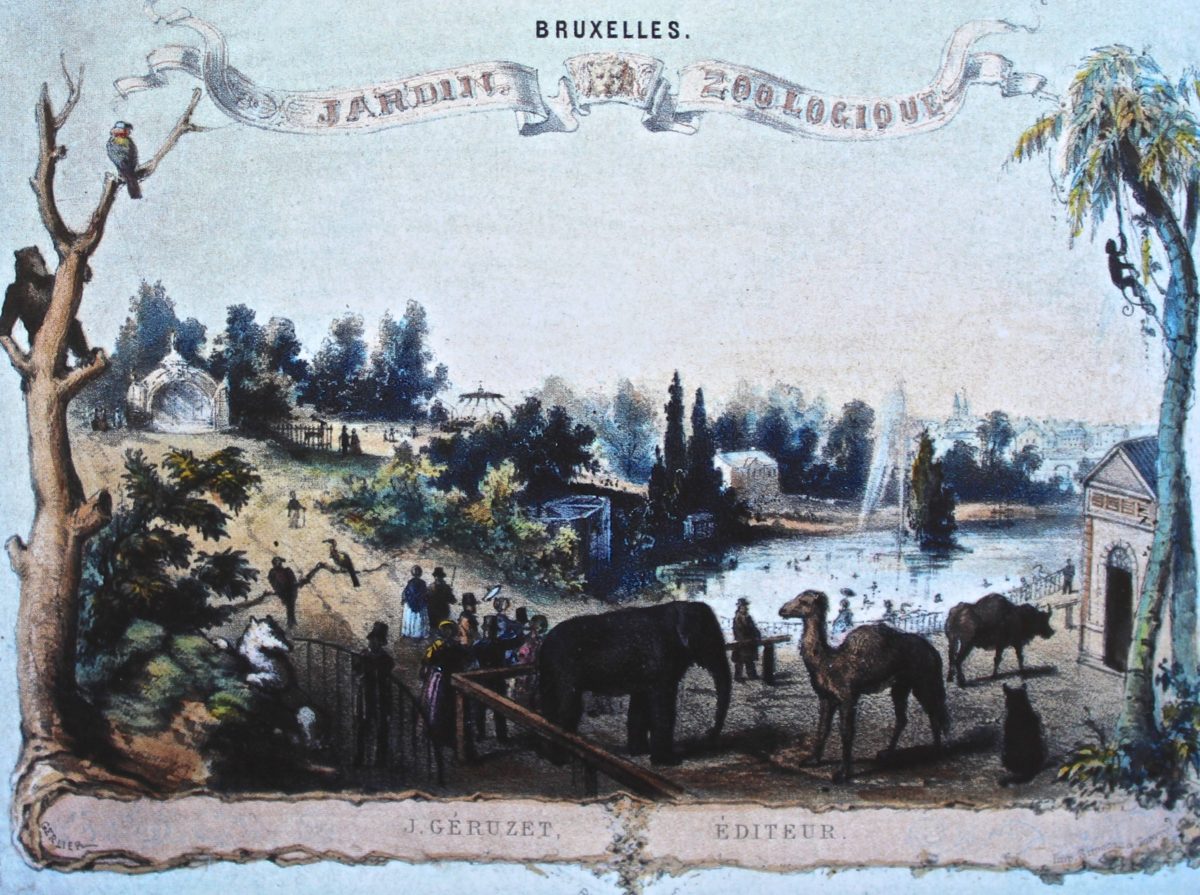 acienne cart epostale figurant le jardin zoologique de Bruxelles en 1856