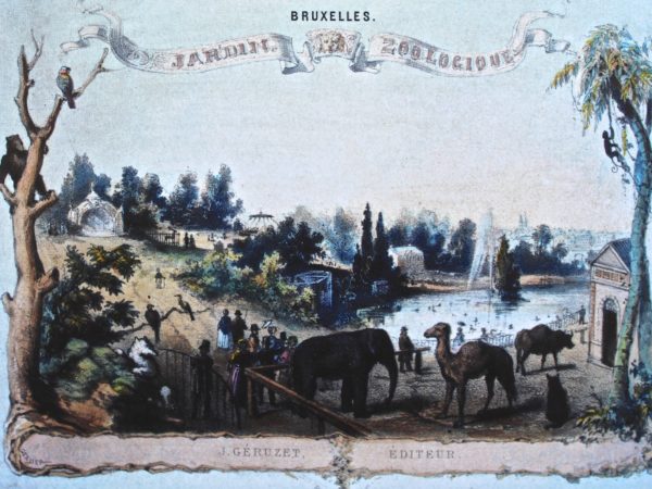 acienne cart epostale figurant le jardin zoologique de Bruxelles en 1856