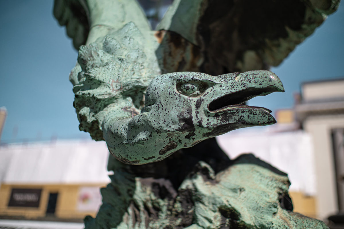 Gros plan de la tête d'un vautour, statue en bronze du Jardin Botanique