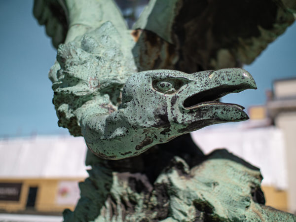 Gros plan de la tête d'un vautour, statue en bronze du Jardin Botanique