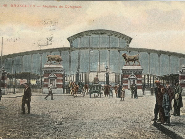 ancienne carte postale coloriée des abattoirs de Cureghem