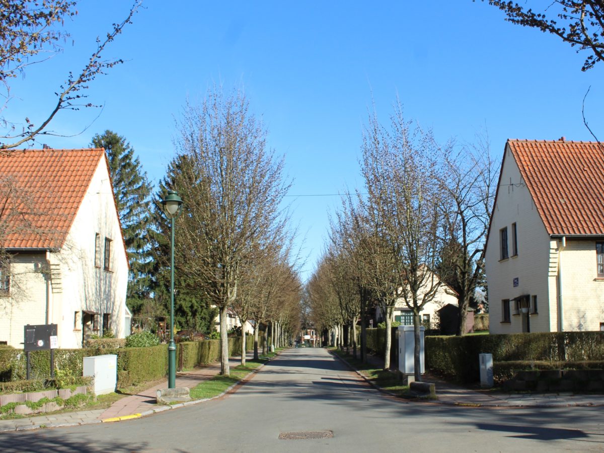 Vue d'une rue de la cité de Moortebeek