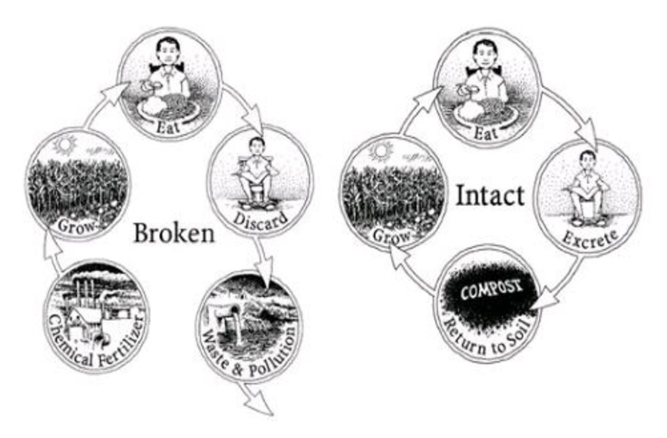 Le cycle des nutriments intact et rompu suite à l'adoption du tout-à-l'égout qui implique le recours aux engrais chimiques et a pour corollaire la pollution des cours d'eau. JENKINS J., The Humanure Handbook, A guide to composting Human Manure, Joseph Jenkins Incorporates, 1996